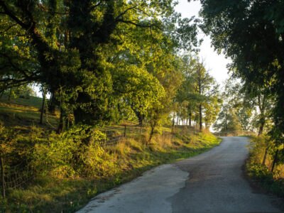 el-moli-de-la-masallera-turisme-rural-collsacabra-68 el-moli-de-la-masallera-turisme-rural-collsacabra-68